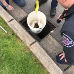 Eastside Fire and Rescue firefighters rescue 10 ducklings from a storm drain