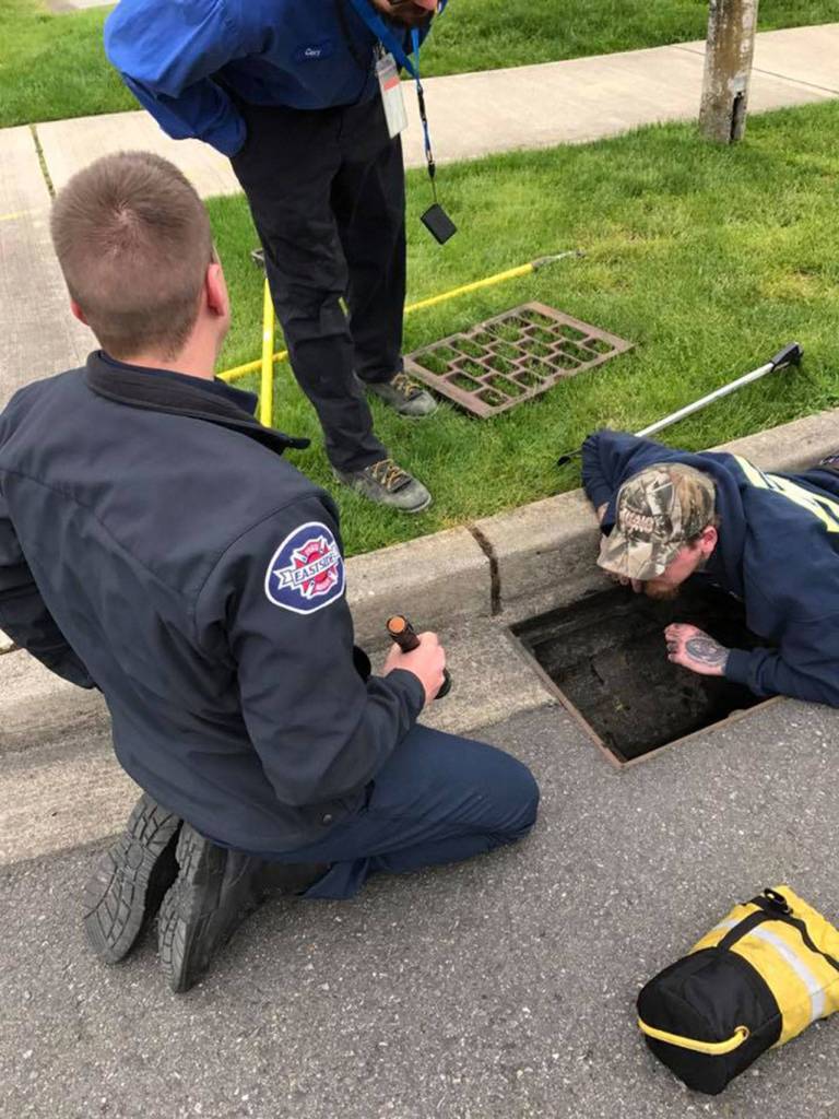 Eastside Fire and Rescue firefighters rescue 10 ducklings from a storm drain