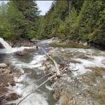 Crews search for the missing teen. Photo courtesy of the King County Sheriff&rsquo;s Office Marine Rescue/Twitter