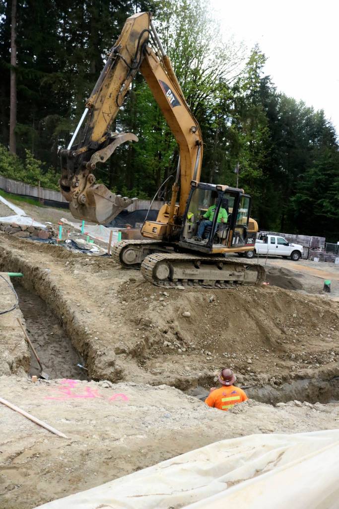 Volunteers start work on Habitat project in Sammamish