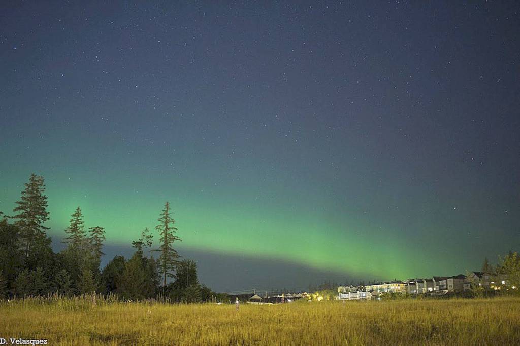 Aurora Borealis over Issaquah | Photos