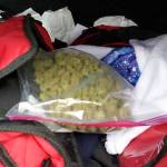 Drugs were found at different houses in Sammamish and Bellevue. Photo courtesy of King County Sheriff&rsquo;s Office