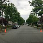 The tube counters collect a variety of data, such as how fast drivers are going, the times of day that see the heaviest traffic and the size of the cars passing over them. Photo courtesy of Paul Omekanda