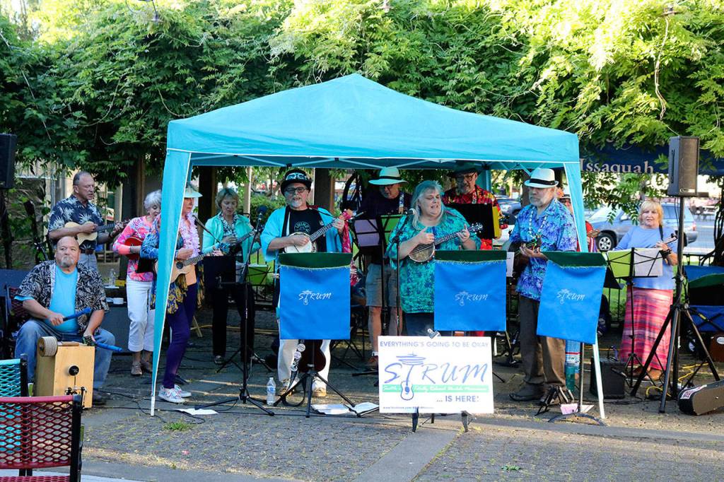 Seattle ukelele group Strum made listeners feel as though they had left Issaquah and were now sitting on a beach in Hawaii. Nicole Jennings/staff photo