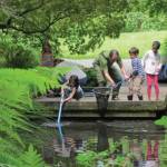 Celebrate Summer’s Therapeutic Benefits in Nature