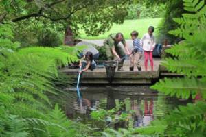 Celebrate Summer’s Therapeutic Benefits in Nature