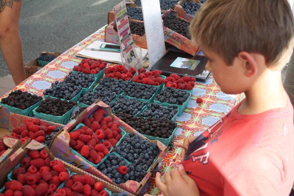 Sammamish Farmers Market July 19 | Photos