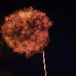 Crowds gather for Fourth on the Plateau | Photos