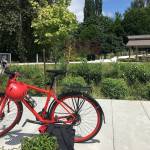 Sena Park: paying tribute to an independent Issaquah woman