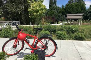 Sena Park: paying tribute to an independent Issaquah woman