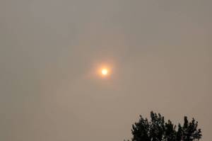 Eastside Fire and Rescue sheds light on fires roaring through state