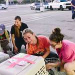 Photo courtesy of White Light Exposure                                Dodd, right, and another volunteer load dogs into their assigned carriers for transport.