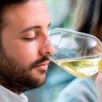 Uncork your wine knowledge with the Seattle Wine School