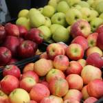 Produce for sale along First Avenue. Nicole Jennings/staff photo