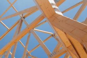 Sammamish passes six-month moritorium on new development applications