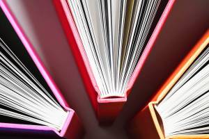 A cradle of Democracy | Book Nook