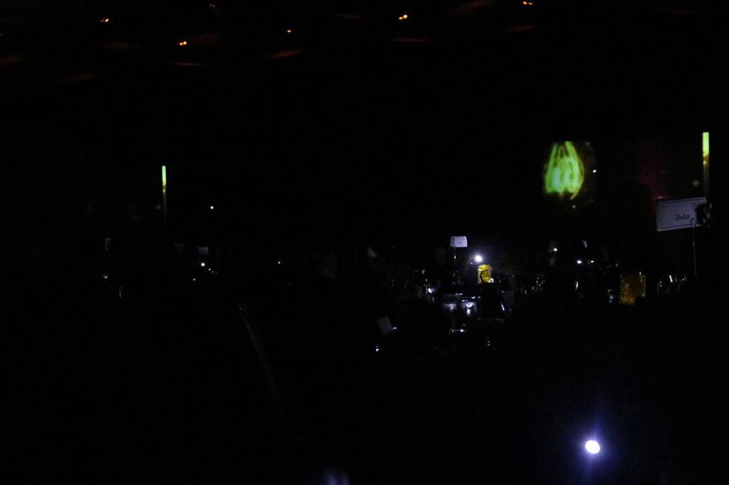 With the luncheons theme of Simple Ideas for Brighter Futures, guests shone flashlights to represent how they plan to be a beacon of hope for needy children. Nicole Jennings/staff photo