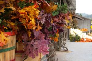 The meaning of Thanksgiving | My Perception