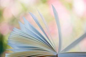 Issaquah artist chosen to judge submissions in international competition