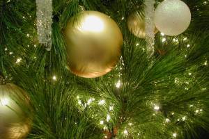 Nonprofit launches Merry Christmas Issaquah and Sammamish fundraiser to support struggling families year-round