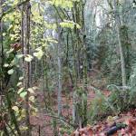 Nicole Jennings/staff photo