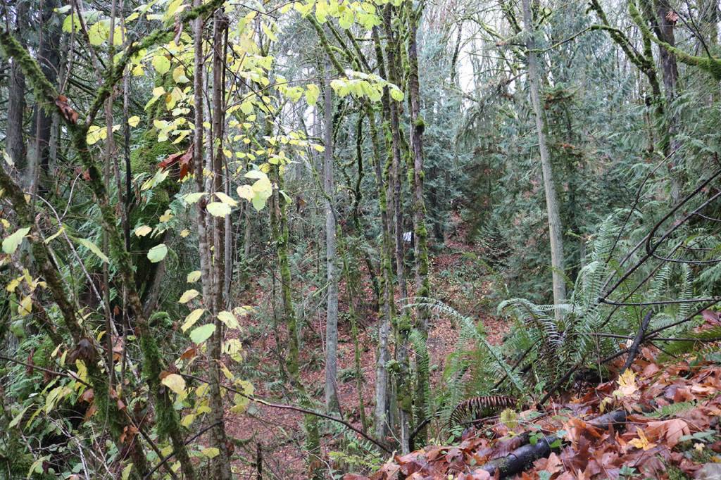 Nicole Jennings/staff photo