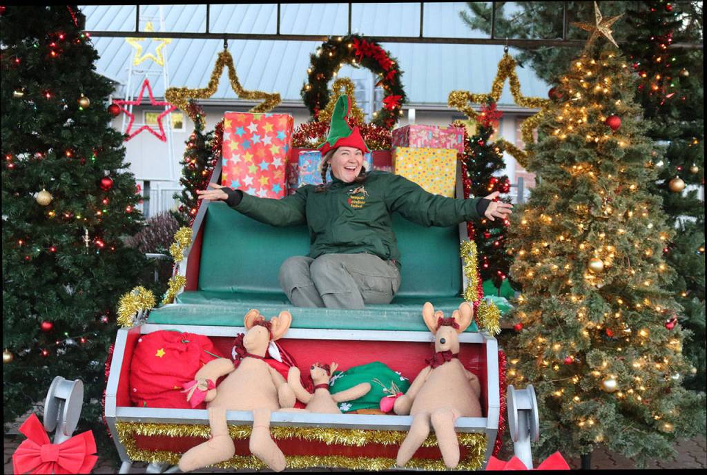 Cari McKinstry, education manager at the zoo, shows her enthusiasm for the Reindeer Festival. Nicole Jennings/staff photo