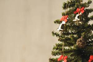 Dementia: 8 tips for celebrating the holidays together | Guest Column