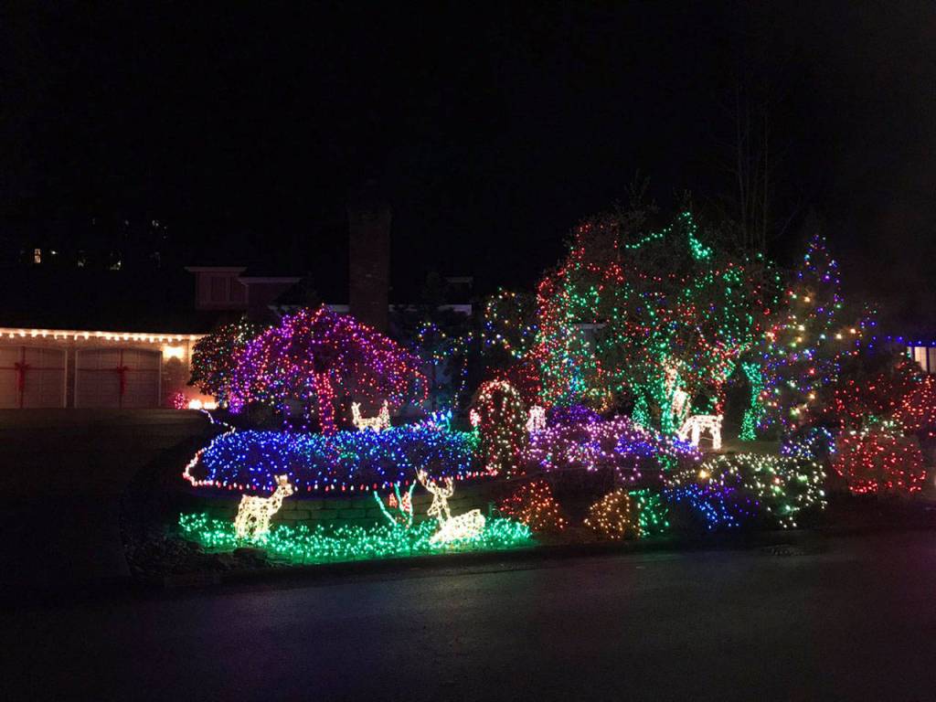 Photo courtesy of Christie Malchow