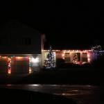 Trees full of lights. Nicole Jennings/staff photo