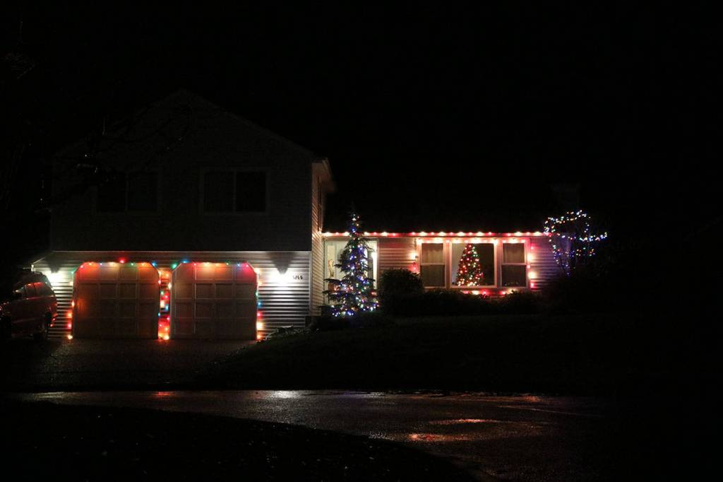 Trees full of lights. Nicole Jennings/staff photo