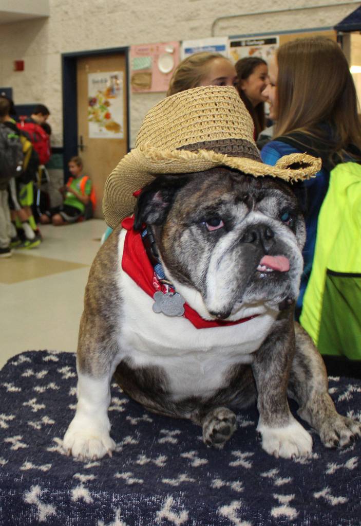 Buddy has been known to dress up in costume for holidays like Halloween. Photo courtesy of Patrick Ford