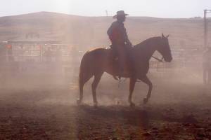 Boots, Barrels and Brews returns March 23