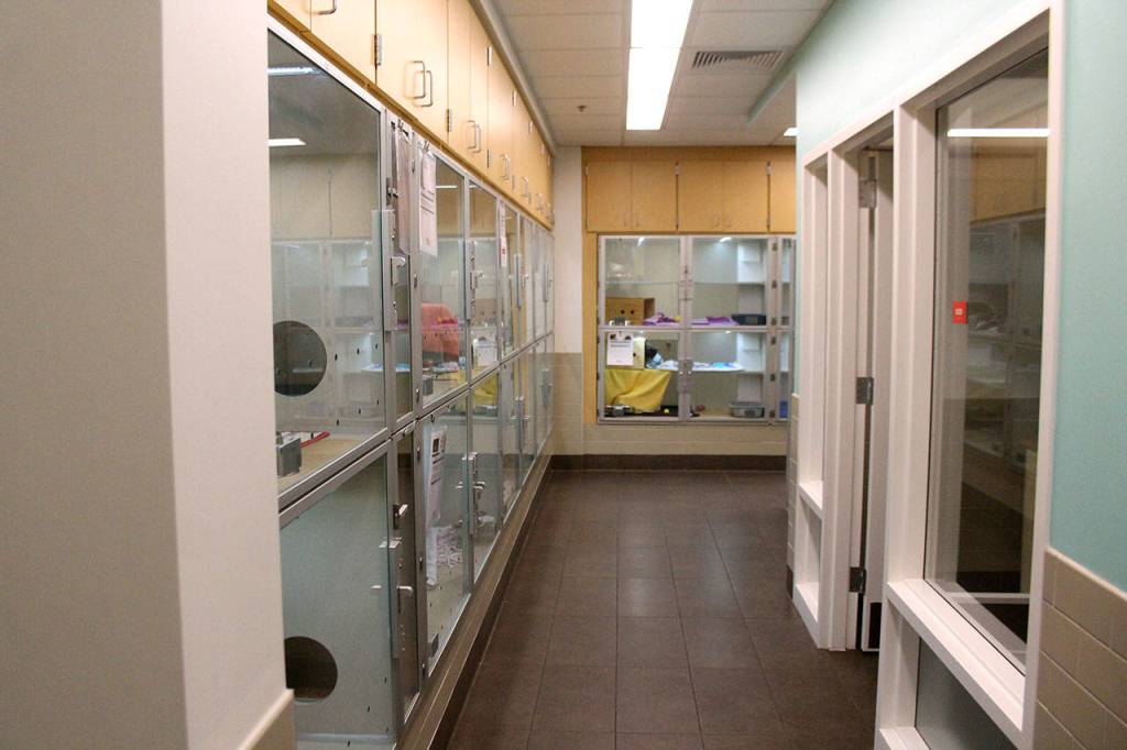 Seattle Humane’s new facility houses more animals, cleaner environment