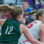 Photo courtesy of Patrick Krohn/Patrick Krohn Photography                                Skyline Spartans senior Carly Werner, left, plays defense in the paint against the Newport Knights in a loser-out, KingCo 4A playoff game. Skyline defeated Newport 72-57 on Feb. 15 at Lake Washington High School in Kirkland.