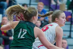 Photo courtesy of Patrick Krohn/Patrick Krohn Photography                                Skyline Spartans senior Carly Werner, left, plays defense in the paint against the Newport Knights in a loser-out, KingCo 4A playoff game. Skyline defeated Newport 72-57 on Feb. 15 at Lake Washington High School in Kirkland.