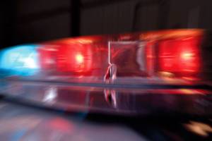 Argument breaks out over dogs on Yellow Lake Trail | Sammamish Police Blotter