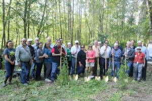 Zackuse Creek restoration project breaks ground in Sammamish