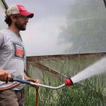 The many hurdles from farm to table