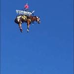 Huckleberry being lifted out of the ravine using a proper horse sling. Contributed by Jenny Bloor.