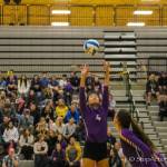 Issaquah Eagles senior setter Claire Hyun sets up a perfect pass to one of her teammates against the Woodinville Falcons on Oct. 17. Issaquah cruised to a 3-0 (25-10, 25-17, 25-13) victory on senior night. Photo courtesy of Don Borin/Stop Action Photography