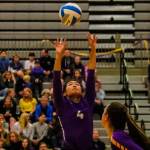 Issaquah Eagles senior setter Claire Hyun sets up a perfect pass to one of her teammates against the Woodinville Falcons on Oct. 17. Issaquah cruised to a 3-0 (25-10, 25-17, 25-13) victory on senior night. Photo courtesy of Don Borin/Stop Action Photography
