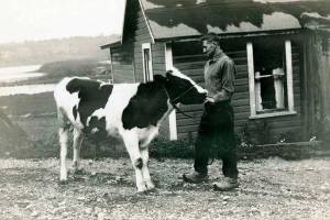 Issaquah History Museums upload more than 10,000 artifacts to their online archive