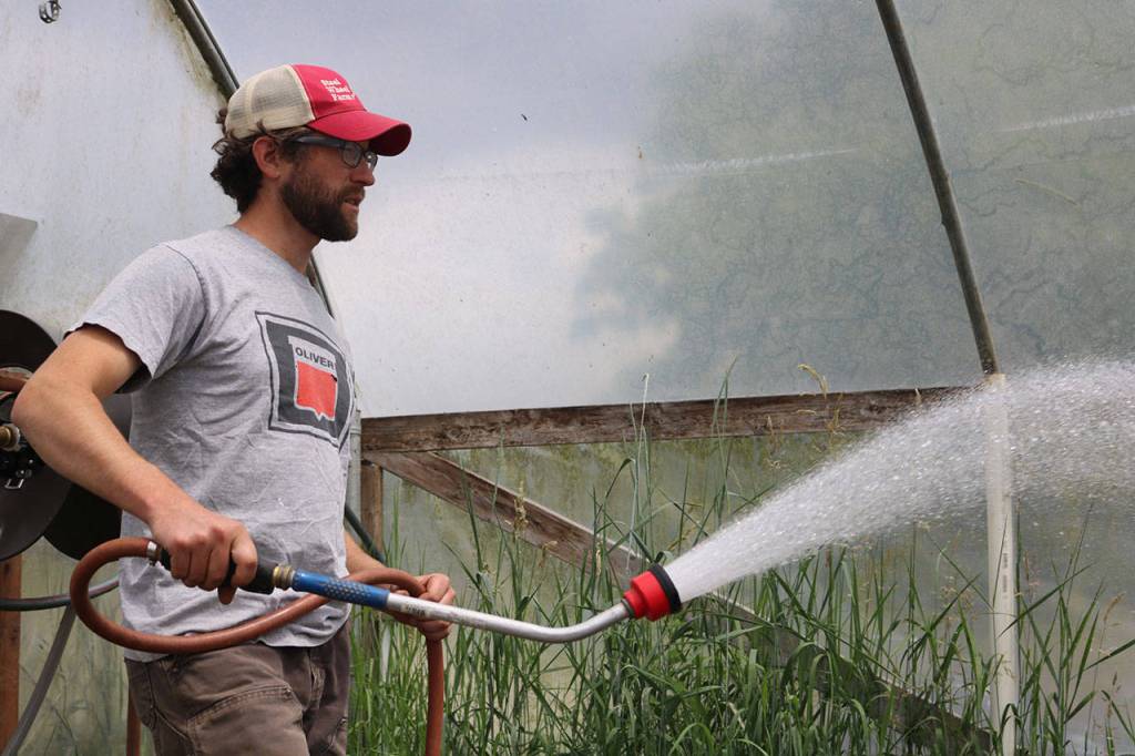 Ryan Lichttenegger waters plant starts at Steel Wheel Farm outside of Fall City. Lichttenegger is a tenant farmer but hopes to one day purchase his own land. Aaron Kunkler/Staff photo