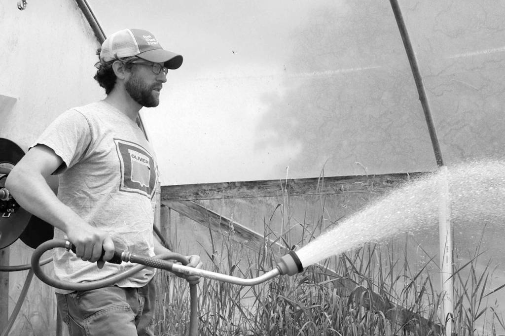 Ryan Lichttenegger waters plant starts at Steel Wheel Farm outside of Fall City. Lichttenegger was then a tenant farmer and hoped to one day purchase his own land. Aaron Kunkler/Staff photo