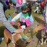 Genesis Castro spreads some of the Holi colors on her dog Smokey. Evan Pappas/Staff Photo