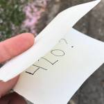 Finding 4/20: A historical primer from the 1970s to today