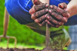 Issaquah, EFR, Ecology, finalize report on PFAS in the city