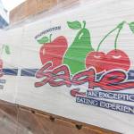 Cruise Industry Buoys the Statewide Economy