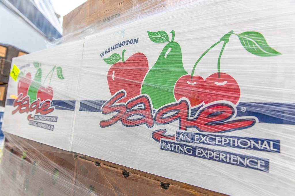 Cruise Industry Buoys the Statewide Economy